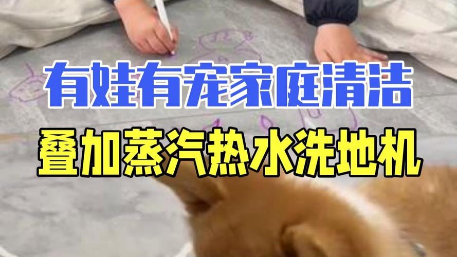 有娃有宠的家庭,还得额外加这层buff