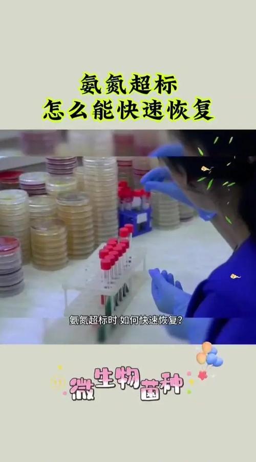 真要解除，按这三步走就行