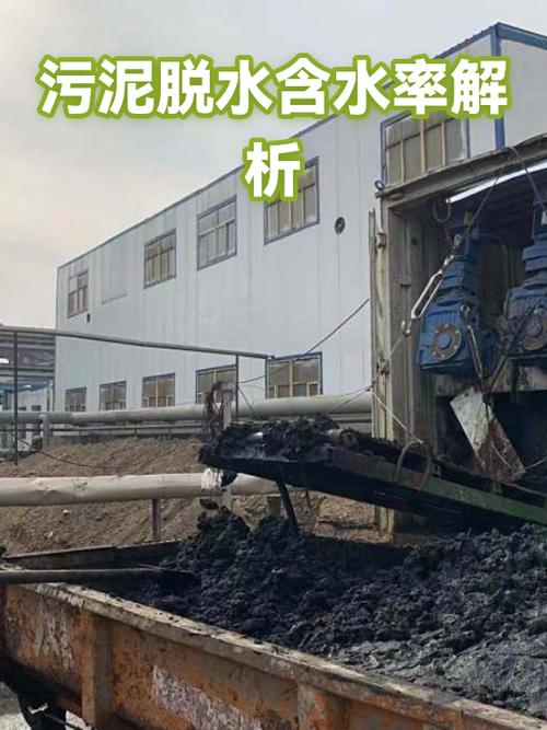 市政污泥脱水后泥饼含水率实测对比