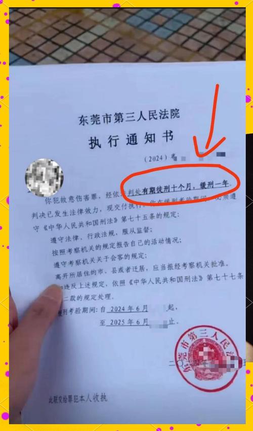 中国刑法缓刑考验期条文实拍图