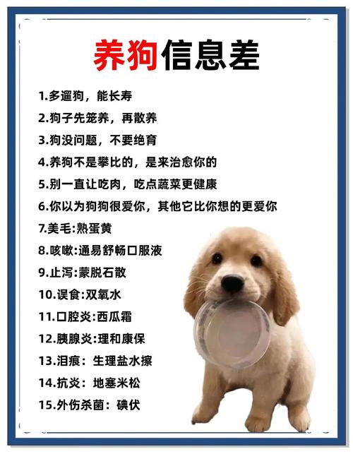 家庭宠物喂养常见误区手写整理图