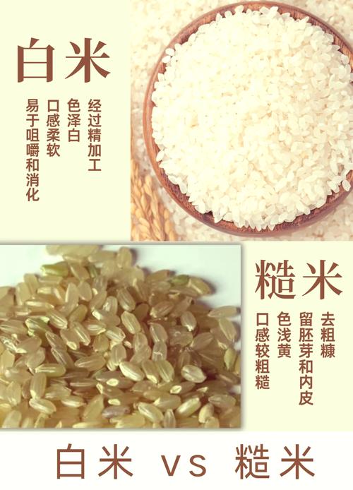 糙米与白米加工过程对比图