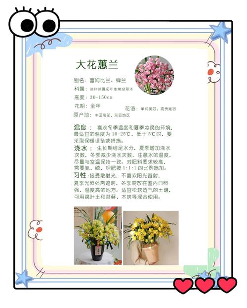 为什么工具要“就近”？懒人才能养好花