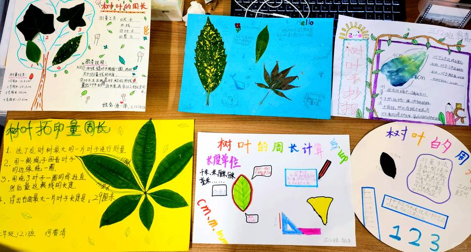 学生用毛线测量不规则树叶周长的操作细节图