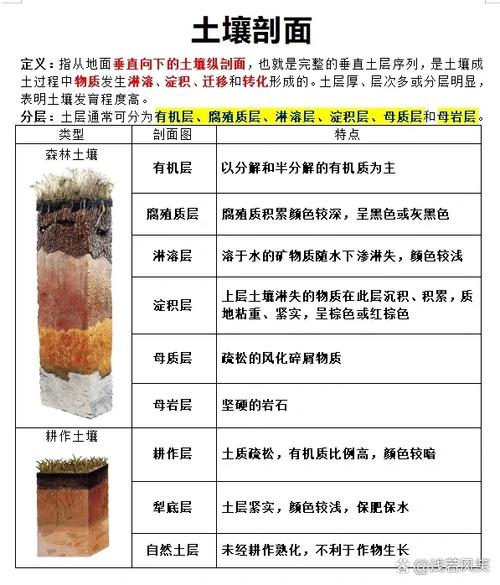 纳米蒙脱土剥离插层过程示意图