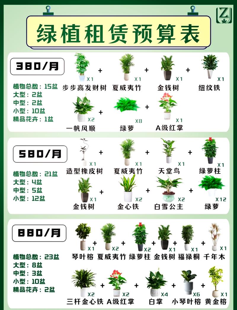 💸 预算怎么分?花钱买绿植还是买炭包?