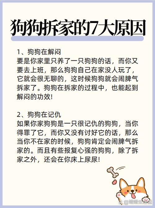 那些流传很久的拆家谣言,别再坑狗了