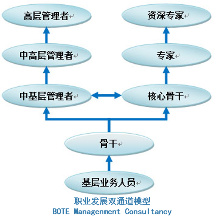 创投职业发展路径双通道示意图