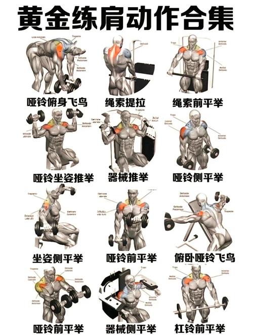 0基础人群自重训练动作进阶对比图