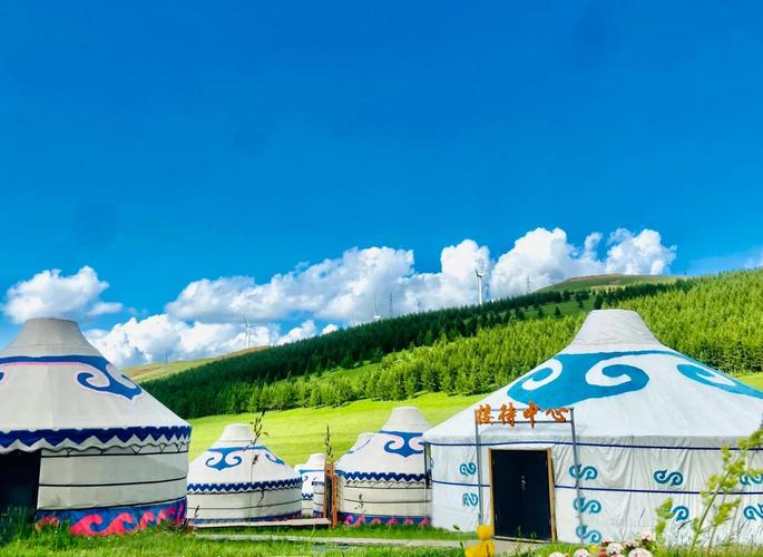 三、草原深处:蒙古包不只有旅游点,还有牧民的夏营地