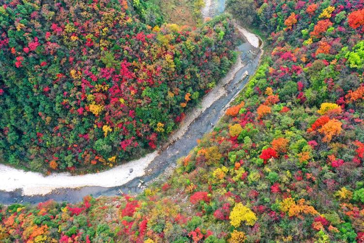 湖北南漳251省道自驾沿途荆山河谷秋景