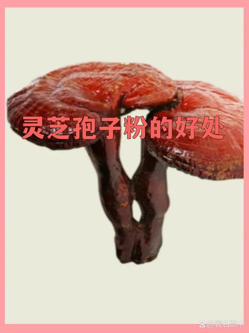 它不是包治百病的仙丹