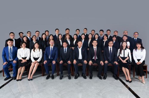 专业化房产律所律师团队合影