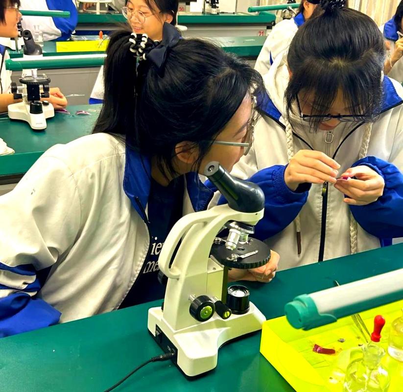 新高考选科自主探索实践活动照片
