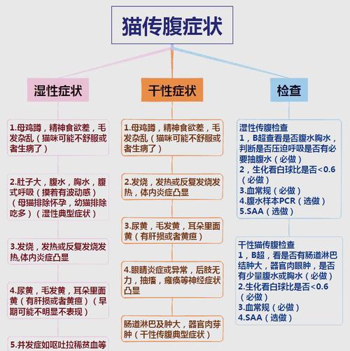 猫传腹湿型与干型症状对比图