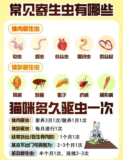 不同饲养场景宠物驱虫频率对照表