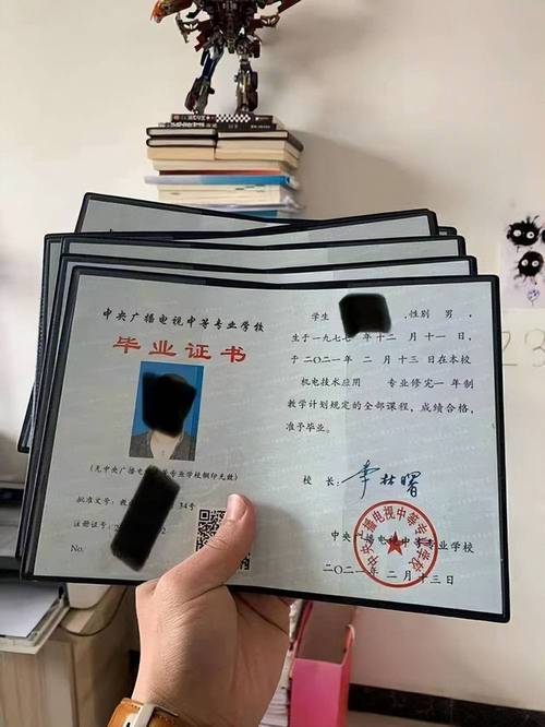也许该给失败发个毕业证了