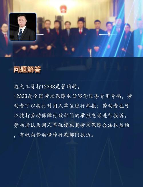 12333热线高温津贴举报咨询界面截图