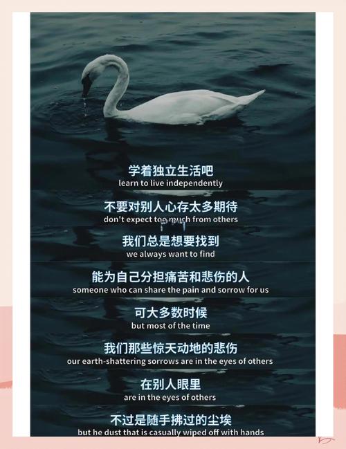 没有天生的独立,只有攒够了安全感的自然离开