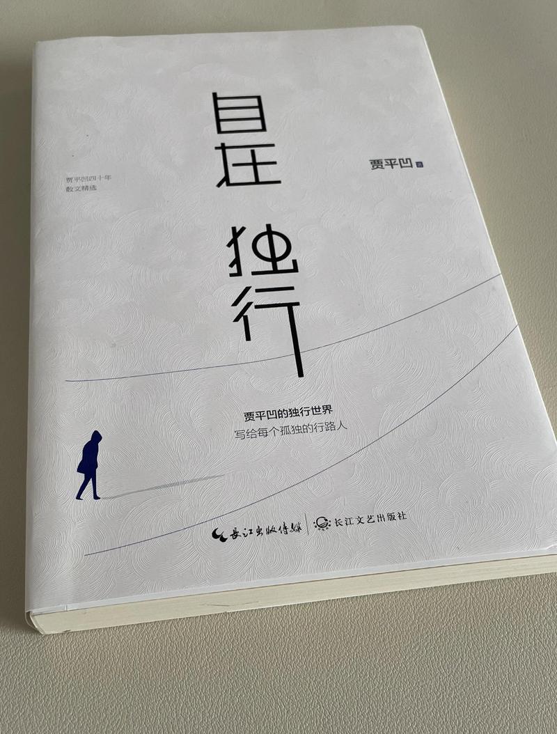 独行者的倔强：清冷中的自我对话