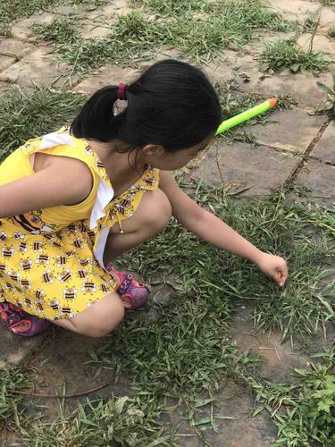 公园草坪上穿硬纱裙蹲着想摸蚂蚁的幼儿