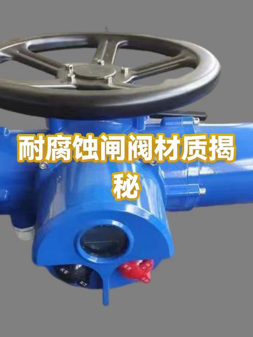 不同材质闸阀耐腐蚀对比试验
