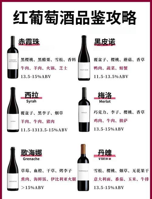 5️⃣ 红酒就是红酒,还分那么多?品种和产区才是灵魂