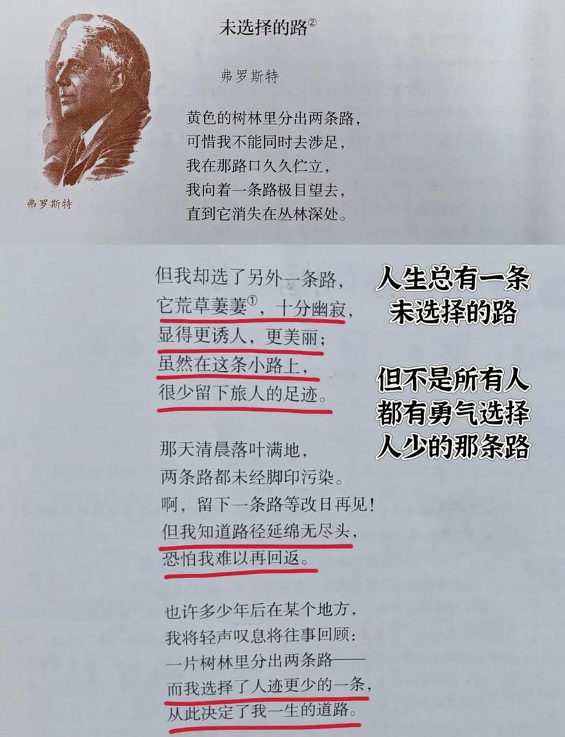 二、为什么我们总爱选“看起来很美”的路