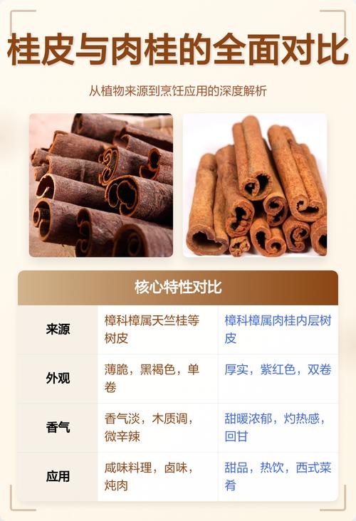 斯里兰卡肉桂卷与桂皮对比特写