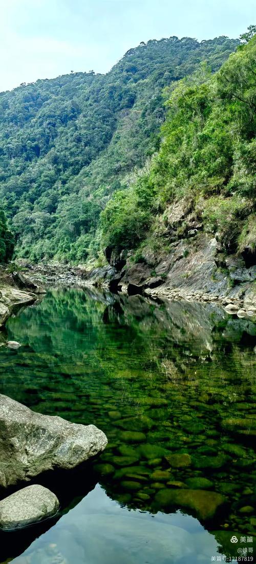 野外山林清澈山涧溪水实拍