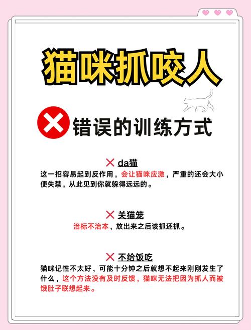 怎么让猫改掉乱抓人的毛病？