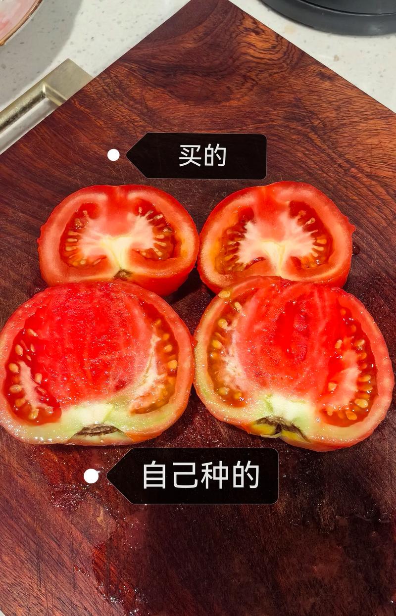 有机农场自然生长蔬菜与催熟蔬菜对比图