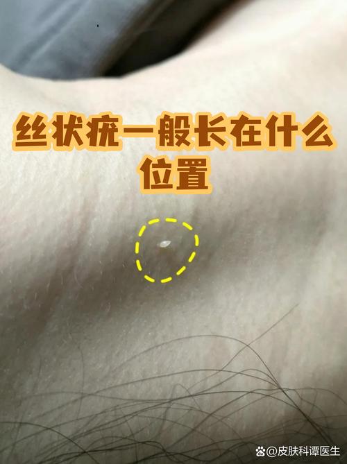 它的边界在哪