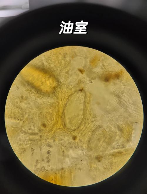 油液分析真能预见故障?一位老工程师的直言不讳-中远盛泰工业