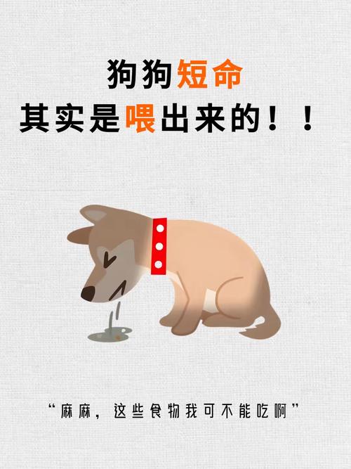 储存细节错了，好鲜食也变成害毛孩的陷阱