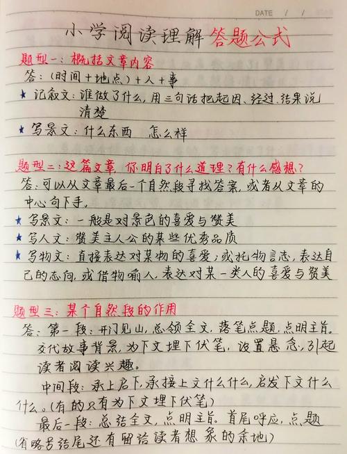 小学生语文课做阅读理解答题草稿纸