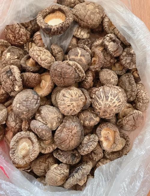 菜市场摊位上的干香菇和干贝特写