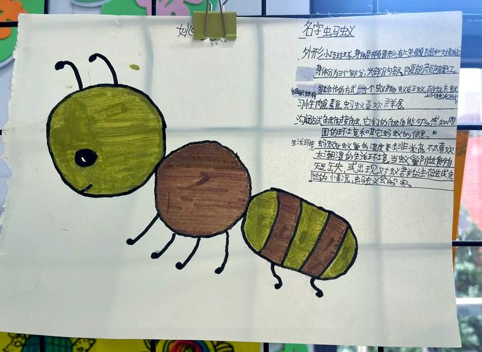 小学生蹲在校园花坛边观察昆虫的手绘笔记