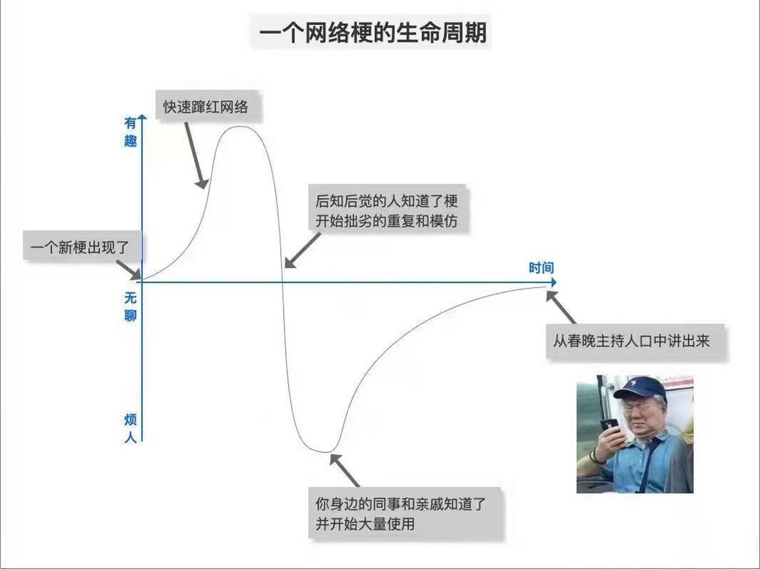 网络上热梗生命周期曲线示意图