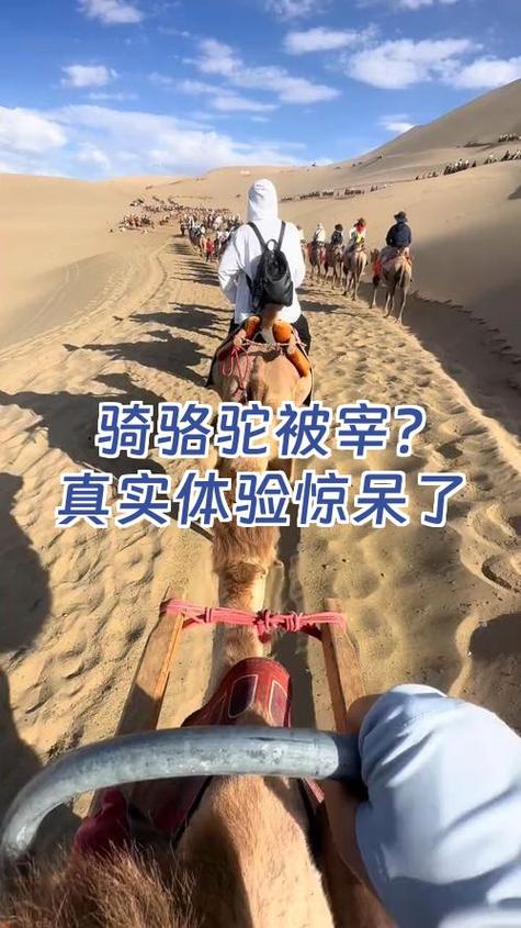 自己在家就能先摸个底,别上来就被人宰