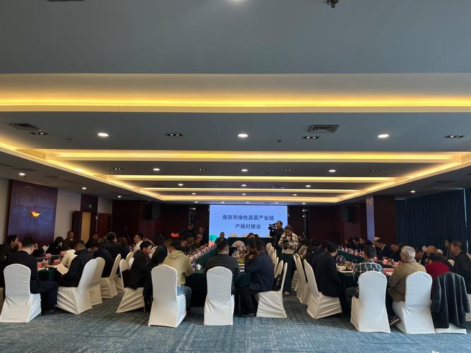 南京产业园技术成果评估对接会现场