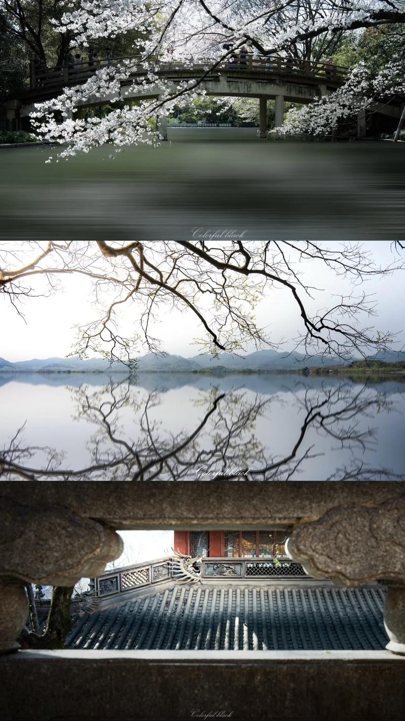 手机壁纸压缩前后对比图暗部细节