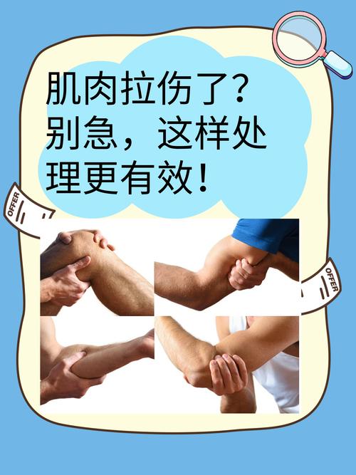 别把所有动作都套进打分框