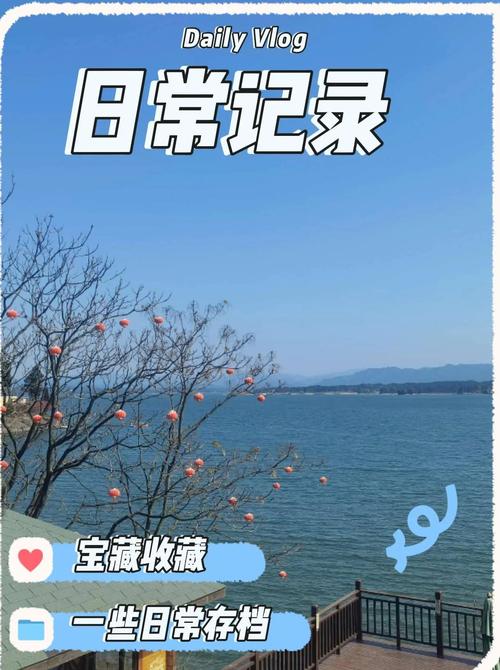 取件路上的十分钟,是我每天偷来的松弛