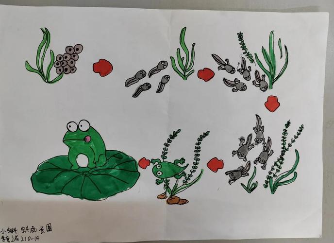 小学学生在周记本空白处画的小蜡笔蝌蚪