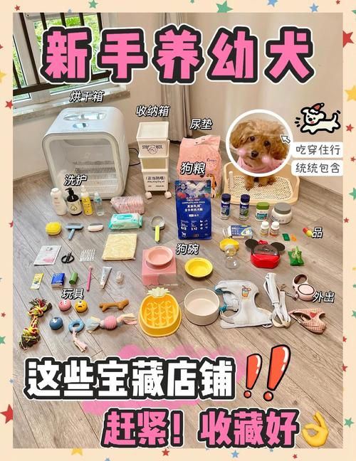 新手家长给宝宝和宠物准备的日常用品合集实拍