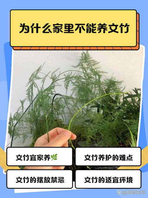 养护家，其实是在养自己