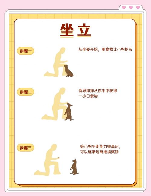 户外狗狗正确随行训练姿势示范