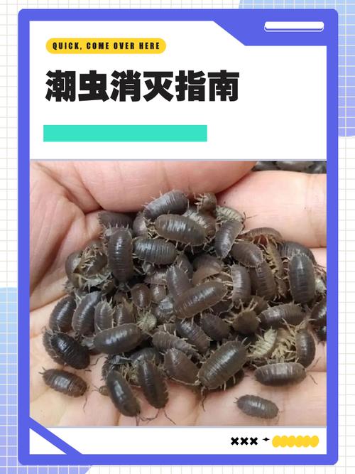 四、防潮防虫与特殊材质:这些坑你绝对踩过