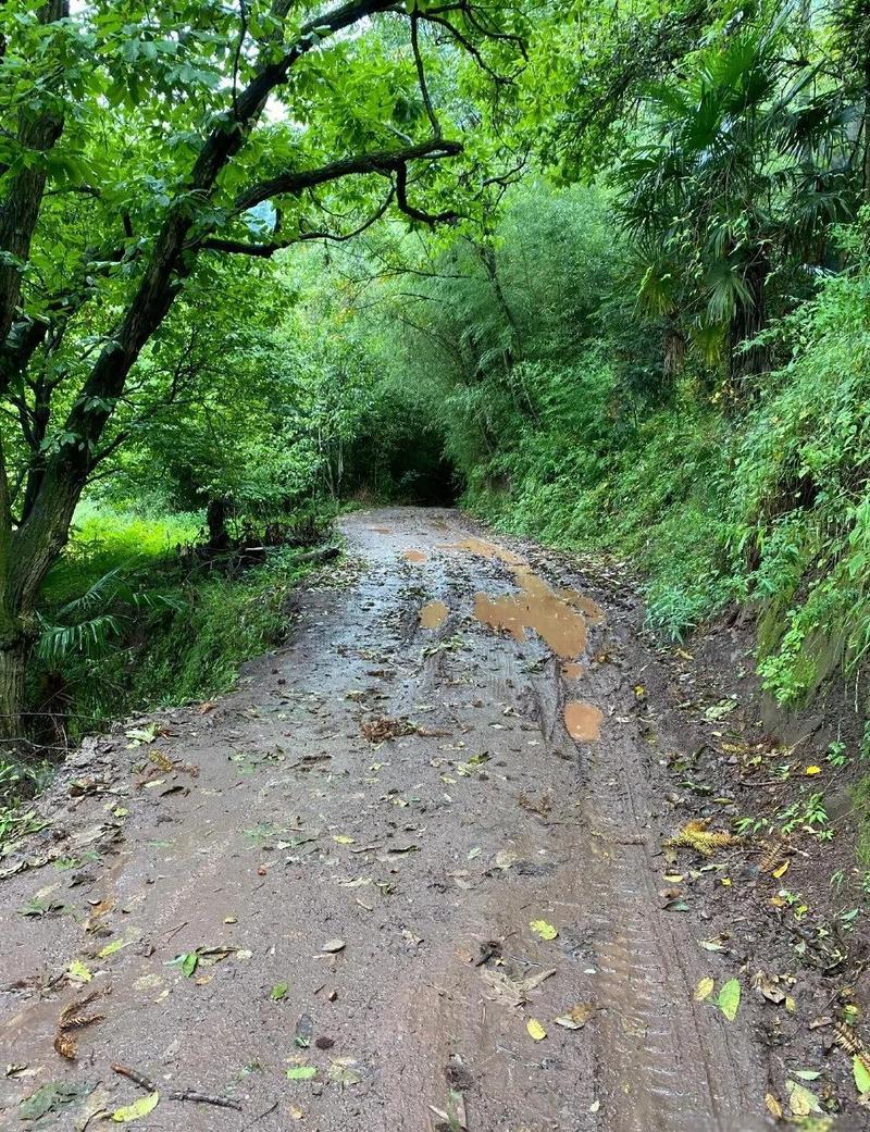 雨后泥泞的乡间小路，鞋印深深浅浅
